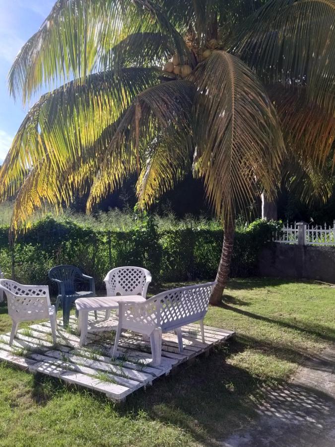 Aquaverde Eco Et Confort- Bas De Villa Avec Jardin Et Parking Le Gosier  Kültér fotó